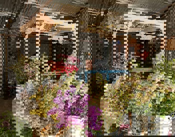 3D71e6ca 4Aab 4Df3 B4ca B121670cf59f