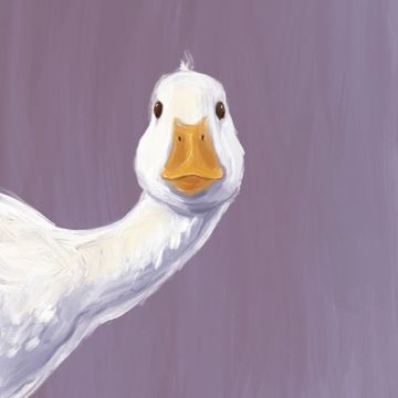 Goose