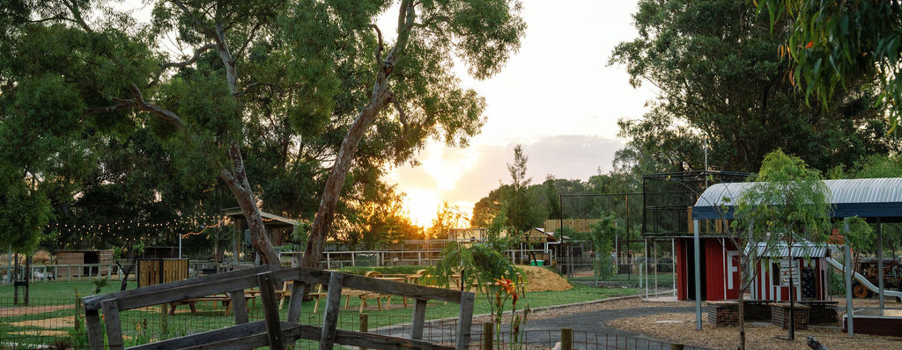 120 11 Acre Farm First Dinner Valentine Girardot Perth Photographer 2024