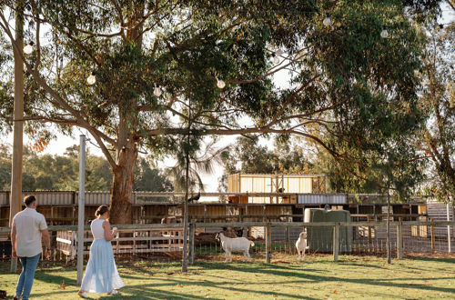 022 11 Acre Farm First Dinner Valentine Girardot Perth Photographer 2024 (2)