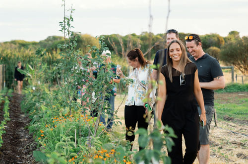 089 11 Acre Farm First Dinner Valentine Girardot Perth Photographer 2024