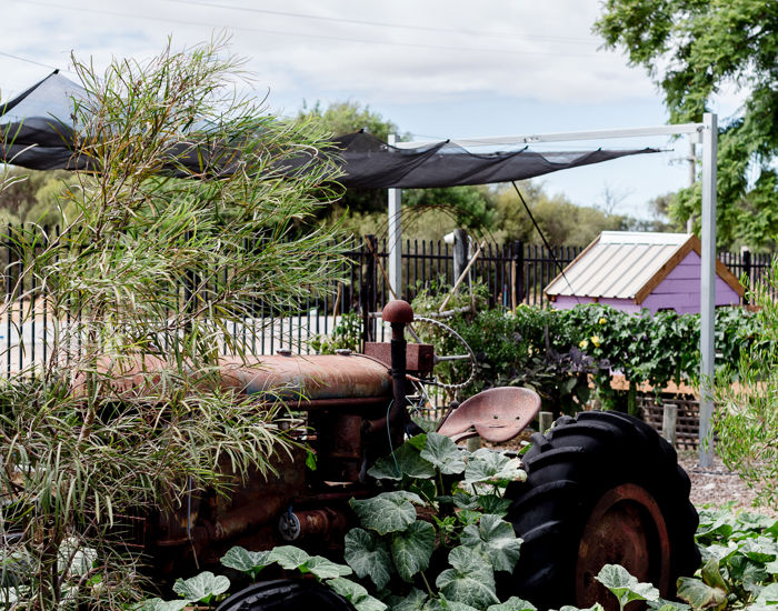 Jasmineanngardinerphotographer 0311Acrefarm Cubbylane 001 P