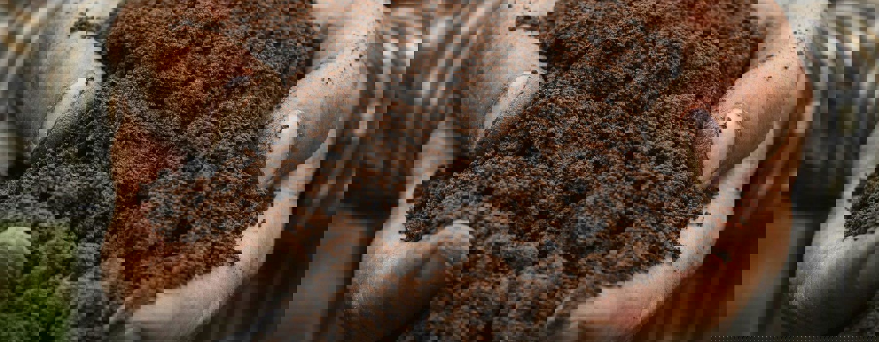 Adobestock 207525647 2048X1365